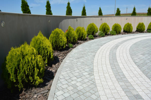 Reasons to Select Us for Your Driveway Paving Requirements in Norwood Young America, MN