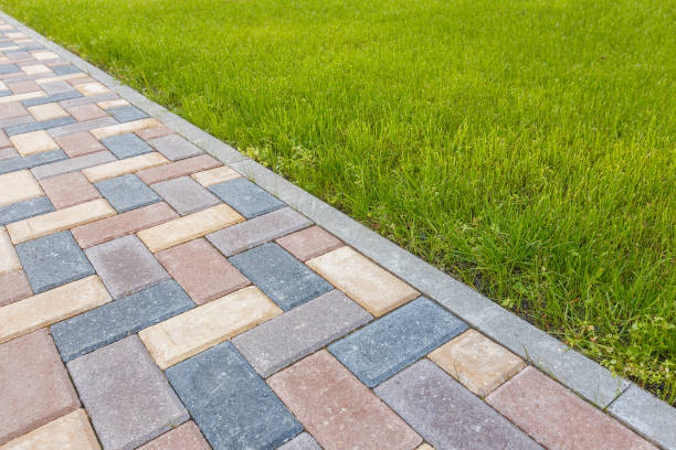 Best Residential Paver Driveway  in Norwood Young America, MN